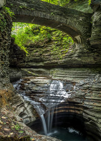 Scenic view of waterfall in forest