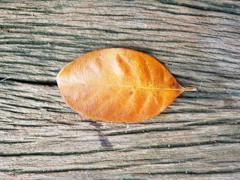 High angle view of orange on table