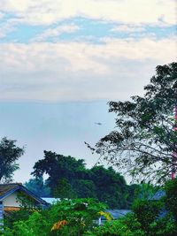 Scenic view of trees against cloudy sky