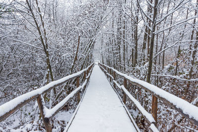 Snow covered footbridge on land