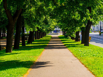 People walking on road