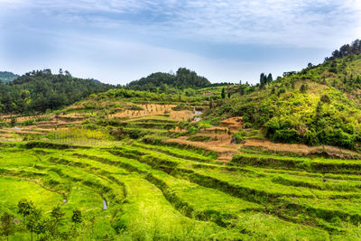 Scenic view of landscape against sky