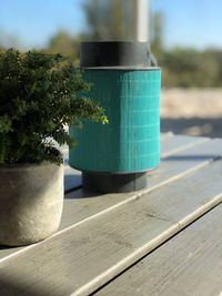 Close-up of potted plant on table