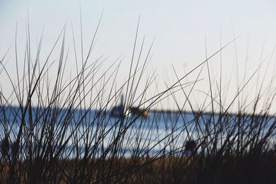 Scenic view of sea against sky at sunset