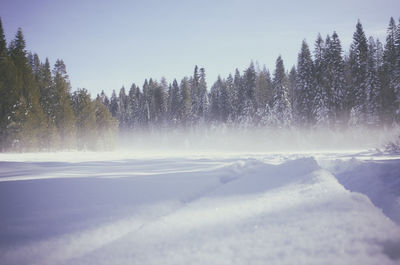 Scenic view of trees against sky during winter