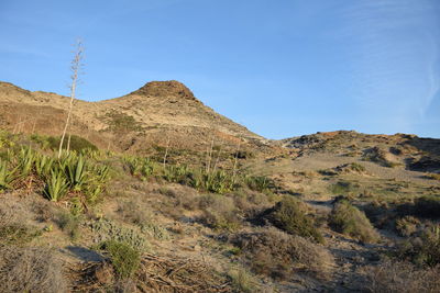 Scenic view of mountains against clear blue sky