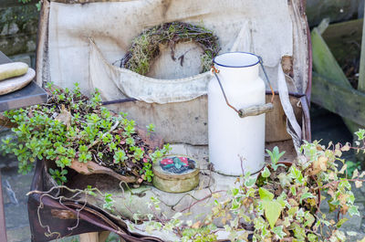 High angle view of potted plants in yard