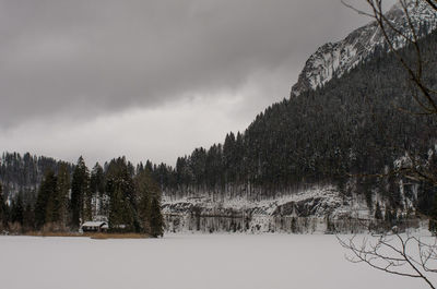 Trees on snow covered landscape against sky