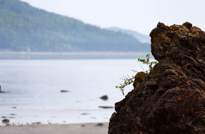 Close-up of rock by sea against sky