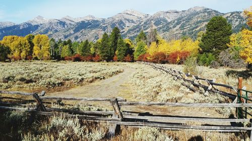 Scenic view of mountains