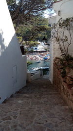 Plants and buildings against sky