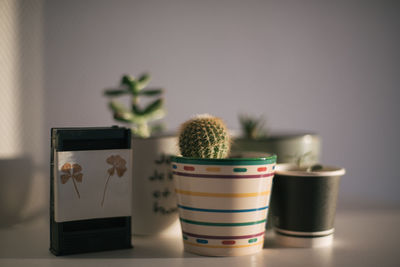 Close-up of plants on table