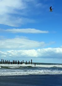 Seagulls flying over sea against sky