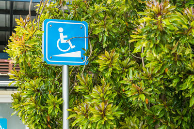 Sing way for the disabled. wheelchair sign. person