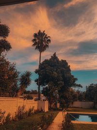 Palm trees against sky during sunset