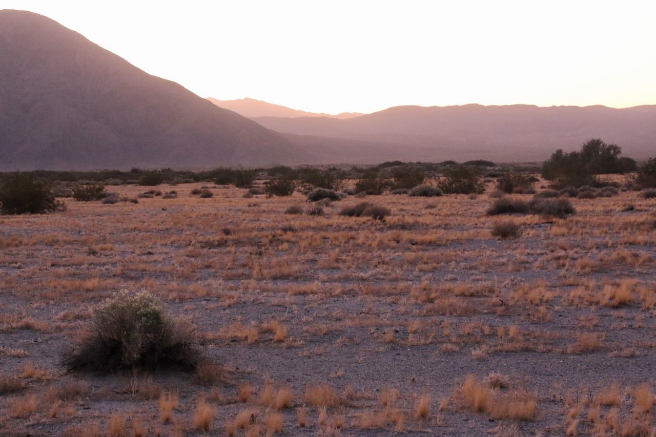 SCENIC VIEW OF DESERT AGAINST SKY