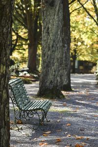 Empty bench in park