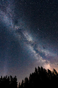 Low angle view of silhouette trees against sky at night