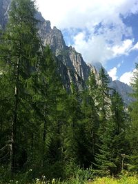 Low angle view of fresh green mountains against sky