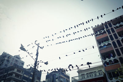 Low angle view of birds flying in building against sky