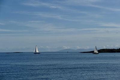 Sailboat sailing on sea against sky