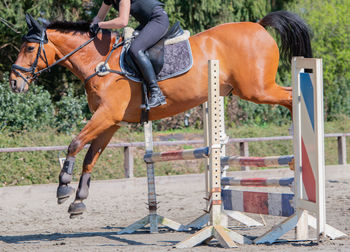 Low section of person riding horse in ranch