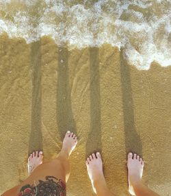 Low section of people on beach