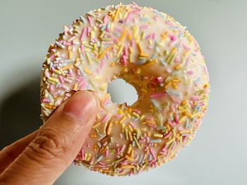 doughnut