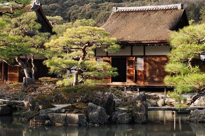 Trees in front of traditional house