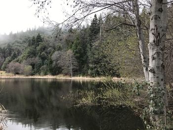 Reflection of trees in lake against sky