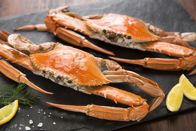 High angle view of fish on table