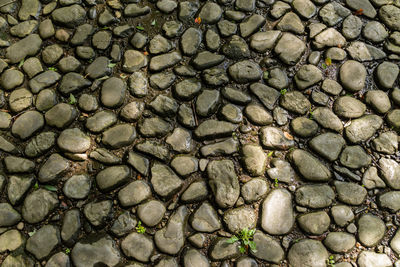 Full frame shot of stone paved footpath