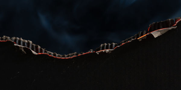 Close-up of plant against black background