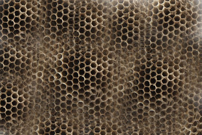 Full frame shot of metal grate