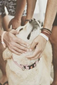 Midsection of man holding dog