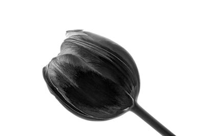 High angle view of ice cream against white background