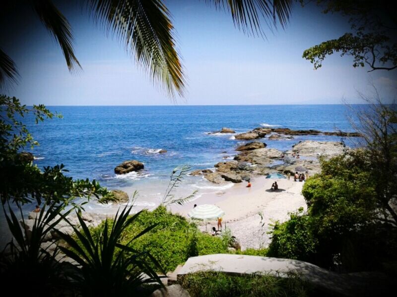 sea, horizon over water, beach, water, palm tree, shore, tree, tranquil scene, scenics, tranquility, clear sky, beauty in nature, nature, coastline, sand, rock - object, sky, blue, idyllic, rock formation