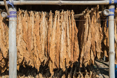 Close-up of clothes drying on wood