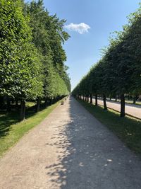 Road amidst trees against sky