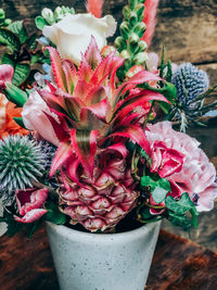 Close-up of potted plant