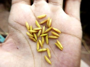 Close-up of hands