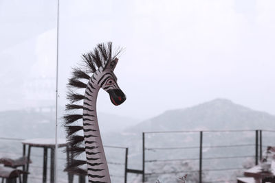 Close-up of a bird on mountain against sky