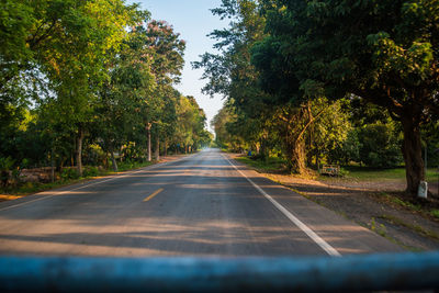 Empty road along trees