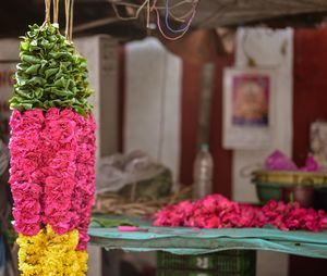 Close-up of pink flower for sale