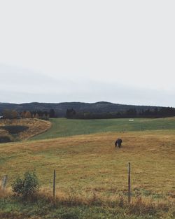 Scenic view of grassy field against sky