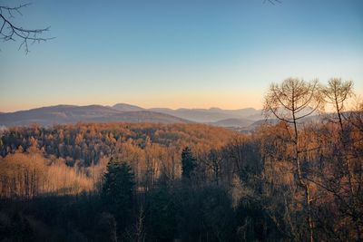 Scenic view of landscape against clear sky during sunset