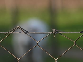 Close-up of chainlink fence