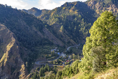 High angle view of trees and mountains in the hill station of nainital, india