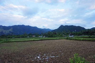 Scenic view of agricultural landscape against sky