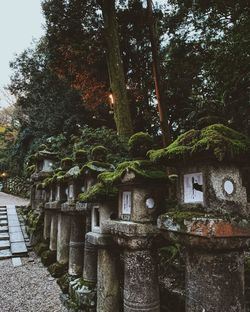 Plants growing on old building by trees
